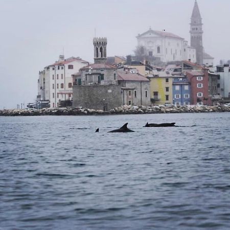 Apartment Stella Piran Zewnętrze zdjęcie